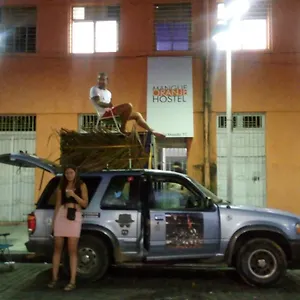 Mangue Oranje - No Bairro Do Antigo - Old Town Albergue Recife